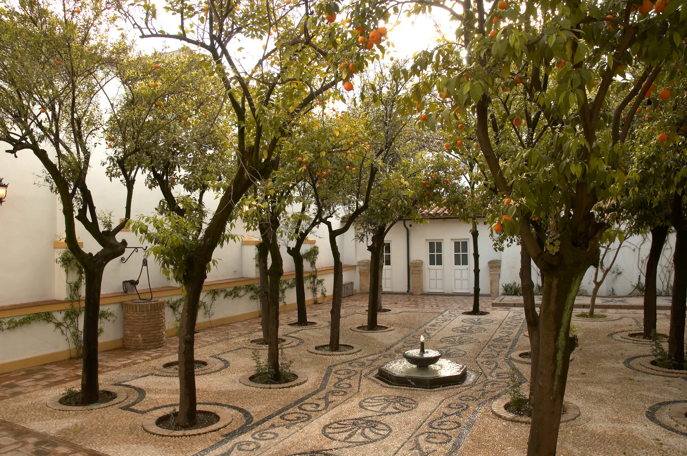Patio de naranjos del Palacio de Las Doblas